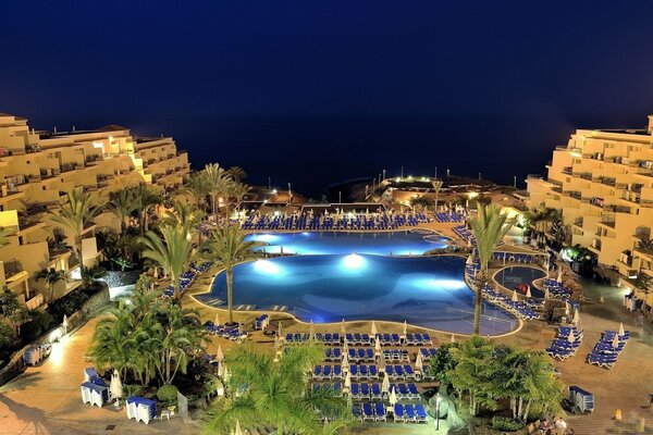 Piscina con palmeras y tumbonas en el hotel