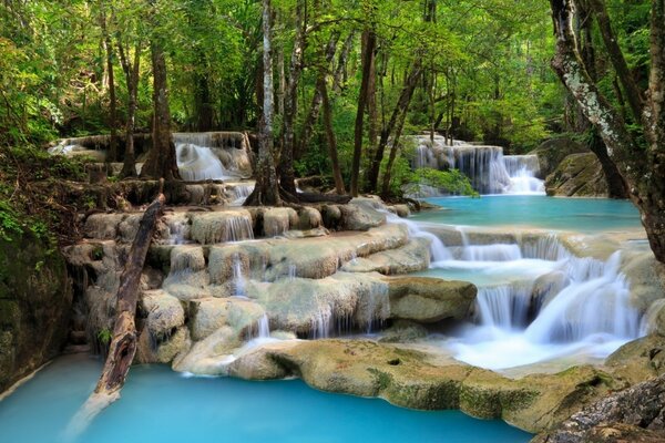 Waterfall on the background of a dense forest