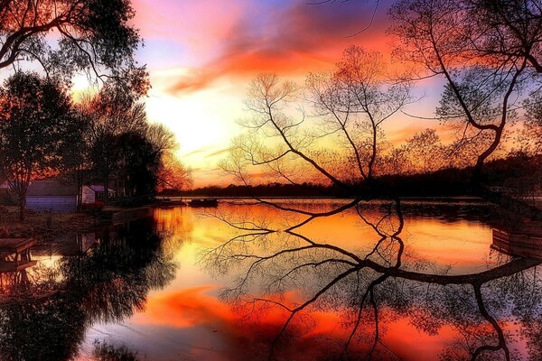 Puesta de sol bosque agua nubes