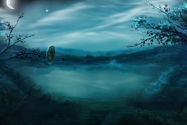 猫头鹰在树枝上的黄昏黄昏靠近水