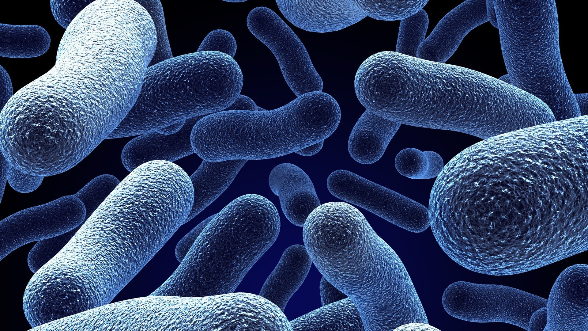 Microorganisms. Android wallpapers for free.