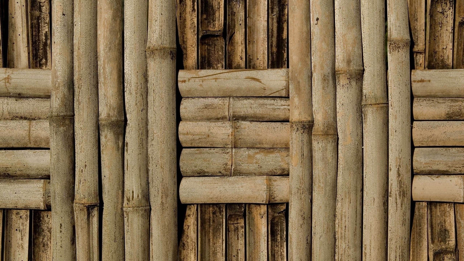 tree wood old desktop construction texture wooden wall architecture design expression pattern retro vintage