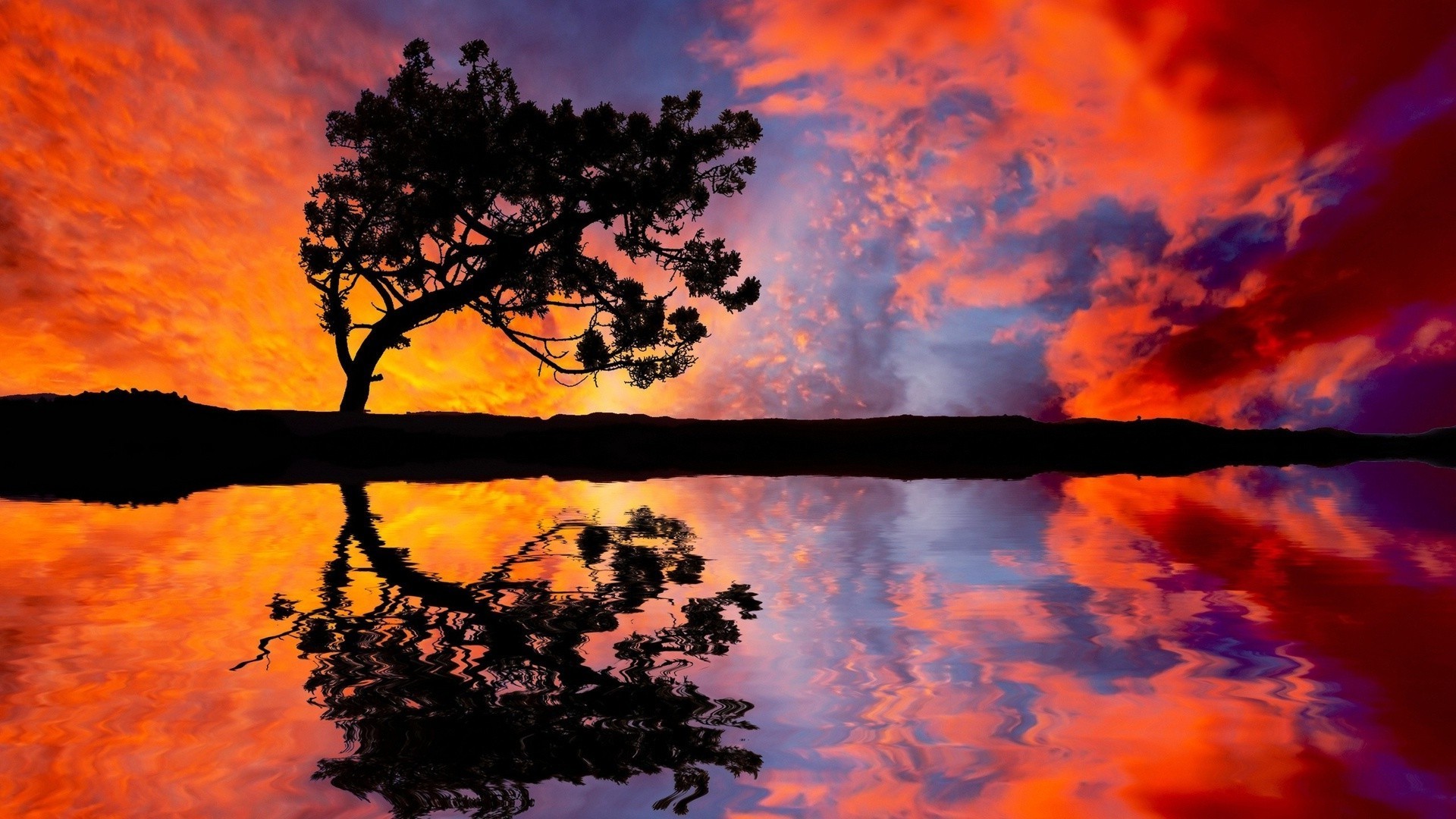 the sunset and sunrise sunset dawn landscape evening sun silhouette tree sky backlit nature scenic fair weather dusk fall outdoors wood weather light