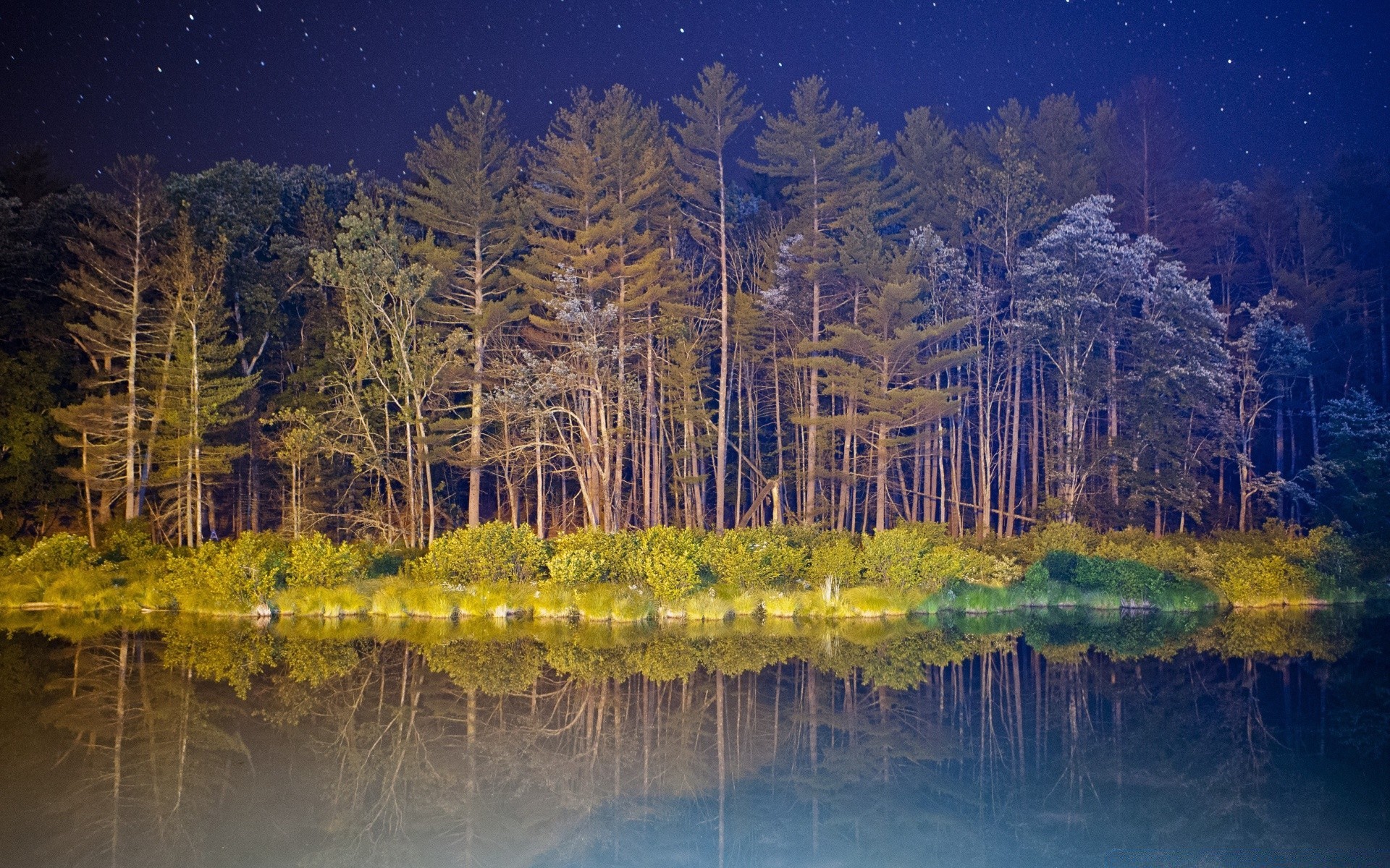 android réflexion paysage eau lac bois bois nature scénique automne rivière environnement piscine parc couleur lumière aube en plein air soir belle