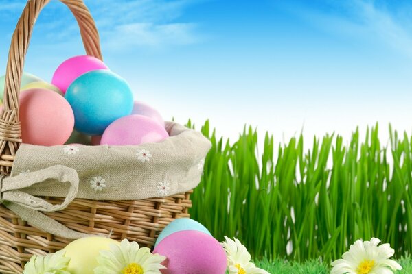 Easter eggs in the green grass