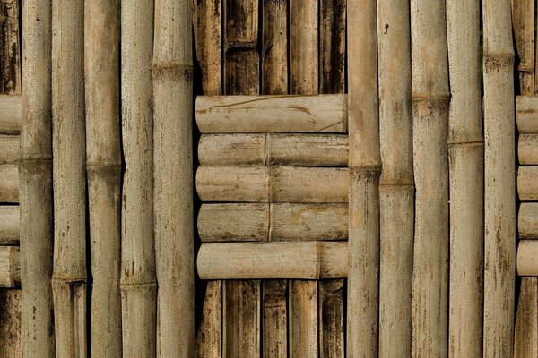 Bamboo wall as an art object