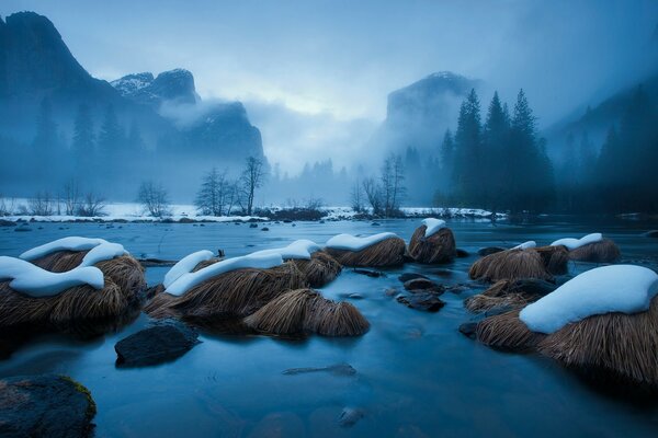 Snow on the grassy hummocks of the swamp