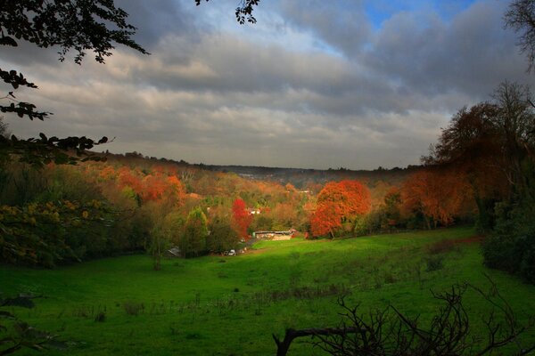 Autumn forest at sunset. Sadness