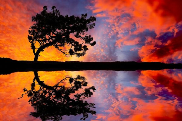 Scarlet Sunset in the evening by the pond