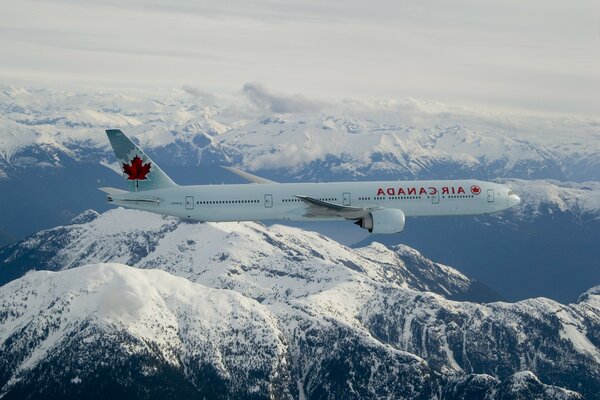 Avion de passagers au-dessus des montagnes enneigées