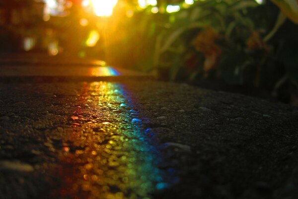 Regenbogen Asphalt Natur Schönheit