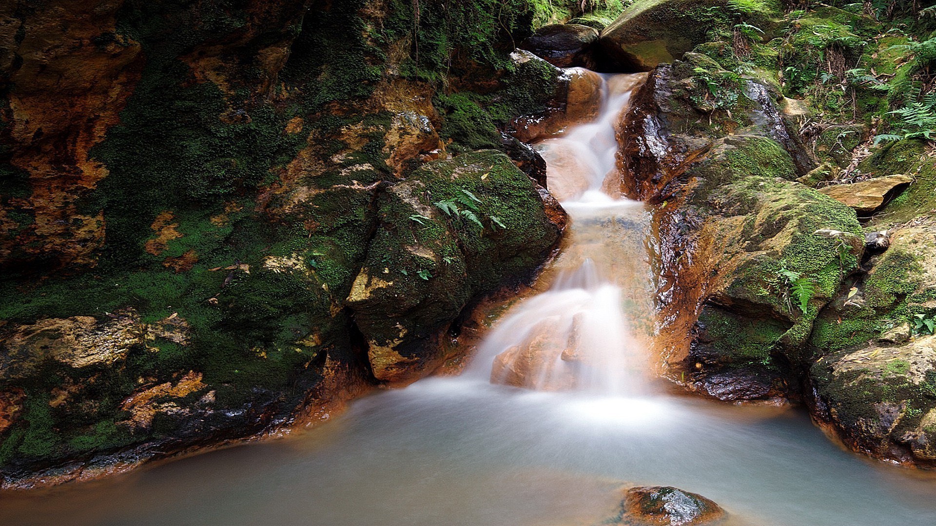 rivers ponds and streams waterfall water river rock stream wood cascade outdoors nature fall leaf flow moss motion creek travel tree rapids blur