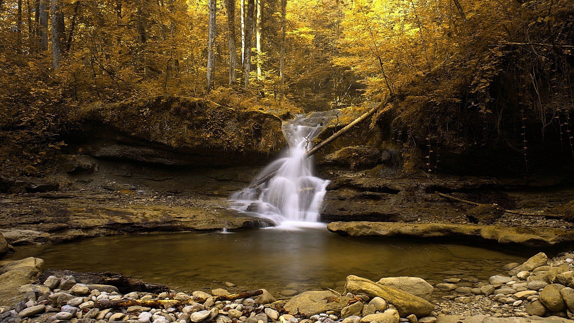 rzeki stawy i strumienie stawy i strumienie woda jesień rzeka wodospad strumień rock natura krajobraz drewno podróż creek ruch strumień liść drzewo na zewnątrz park sceniczny kaskada