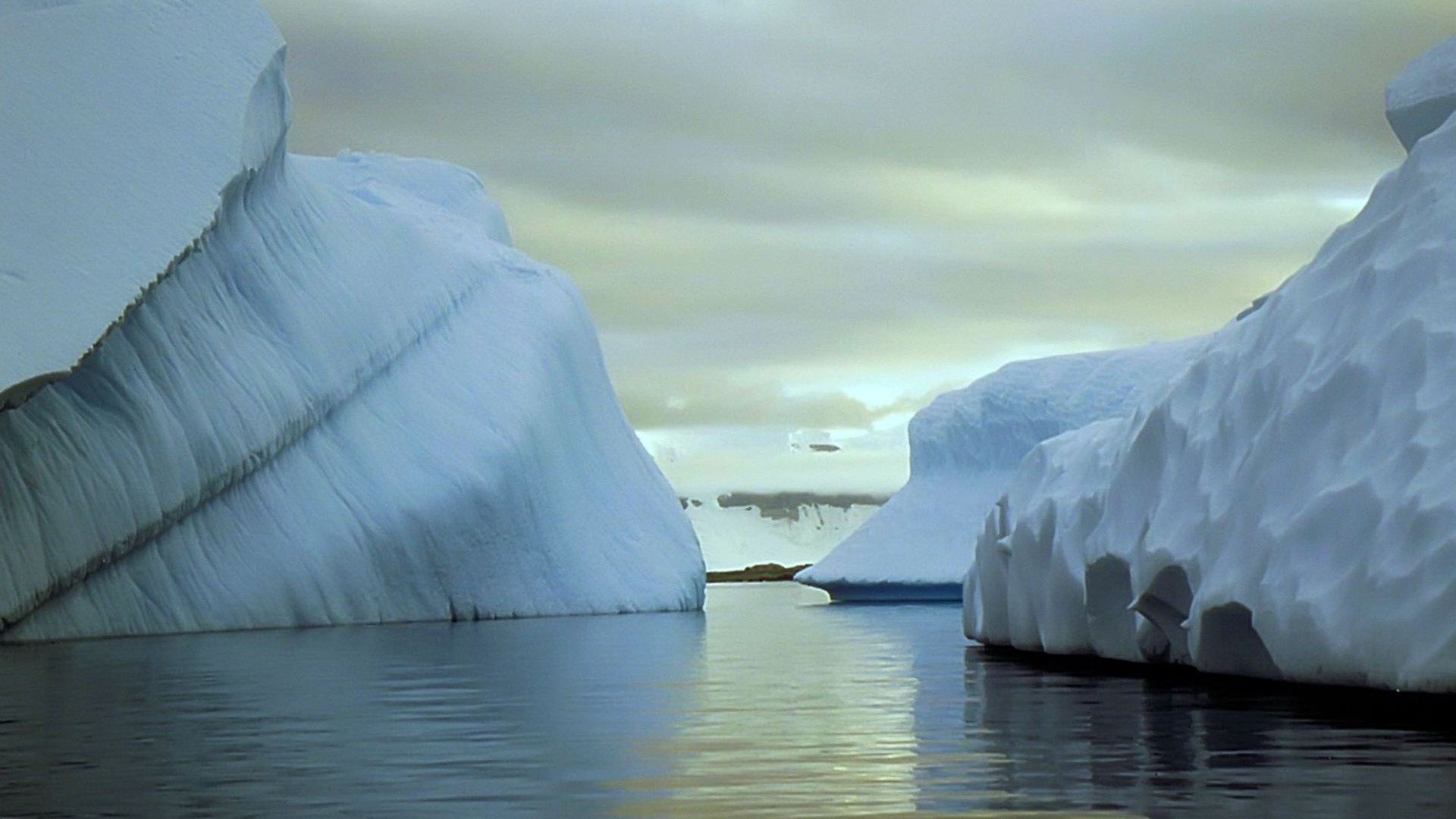 ghiaccio acqua iceberg neve oceano freddo mare natura riflessione gelido nuoto paesaggio lago viaggi ghiacciaio congelato fusione inverno fiume