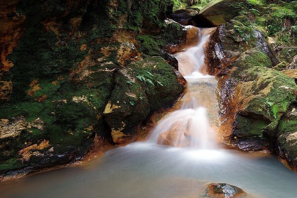 Hurra para salir de la cascada oculta de miradas indiscretas