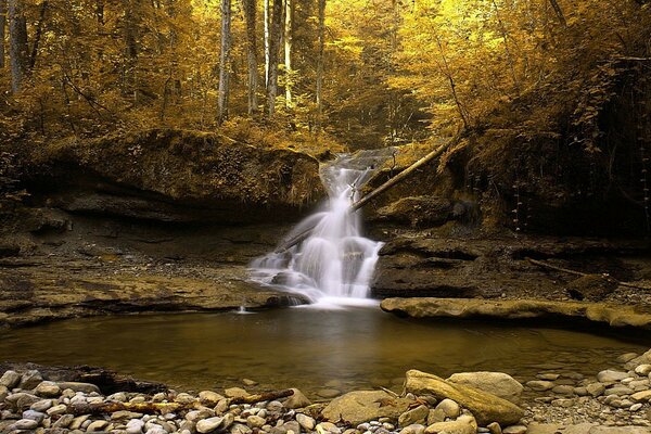 A beautiful autumn streamlet runs into the river