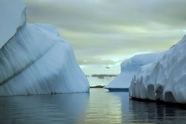 В ледяных водах океана немало айсбергов
