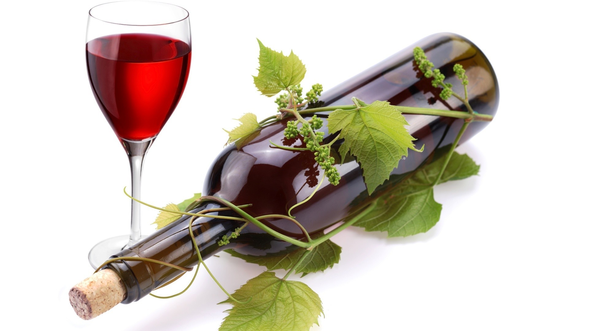 bebida vinho vidro bebida álcool isolado folha uva adega comida vinho garrafa vinho tinto sabor copo de vinho luxo