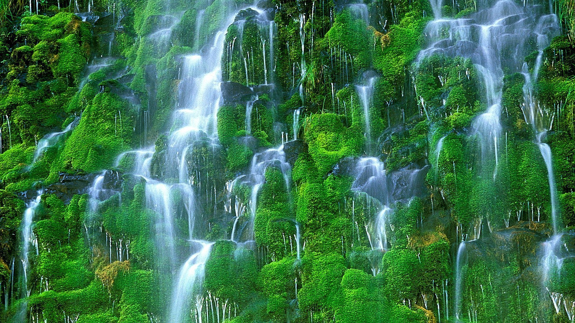 Движущиеся обои на заставку. Водопад Мосбрей, США. Живая природа водопады. Красивые водопады. Живые водопады.