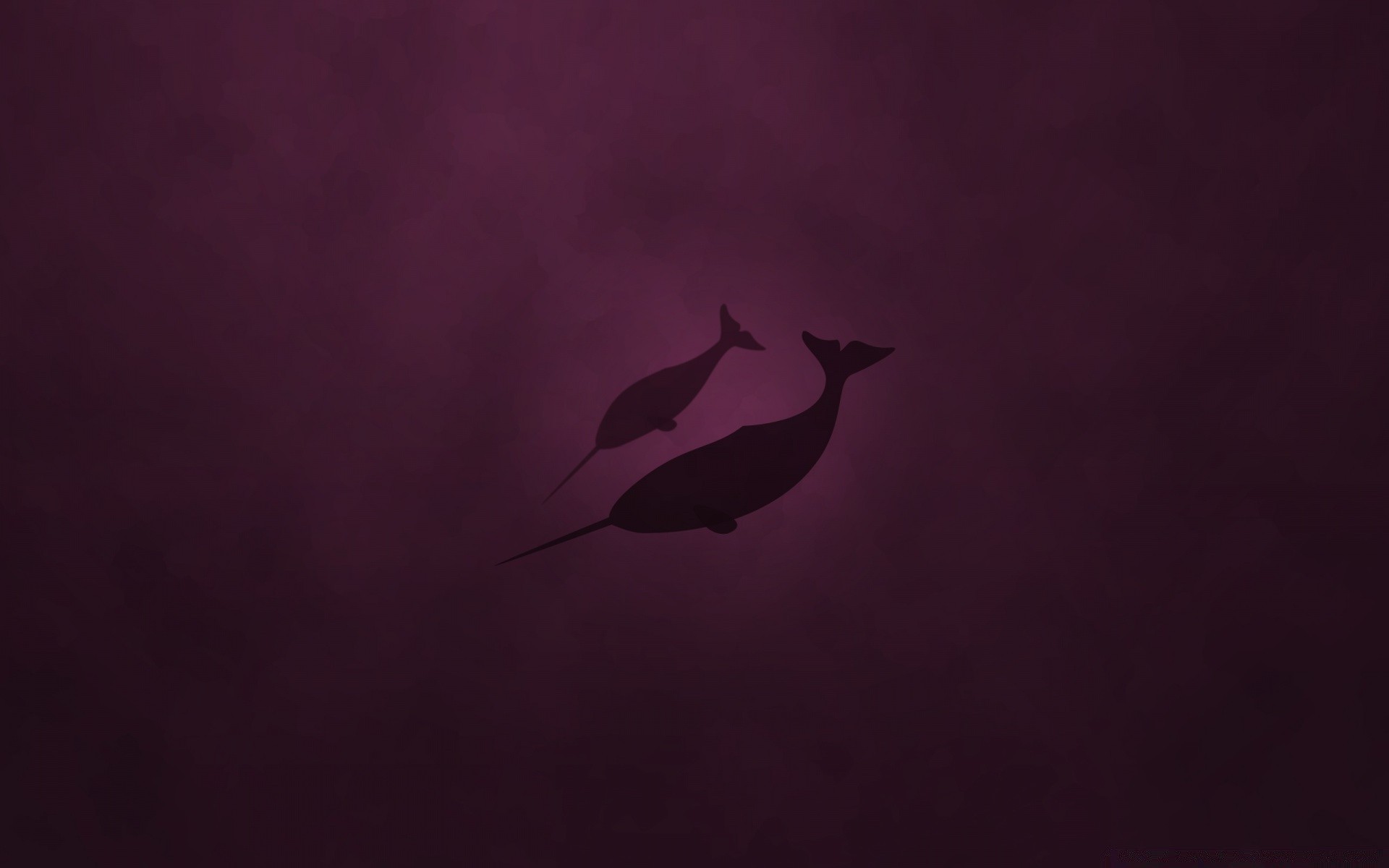 linux art silhouette bird backlit