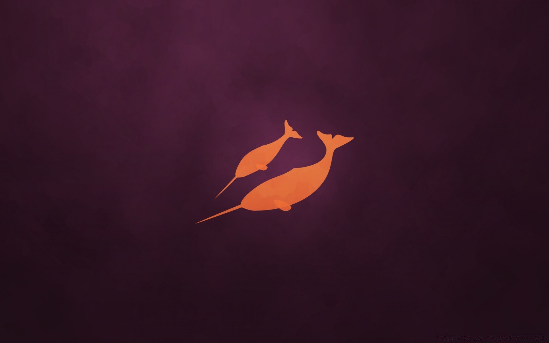 linux silhouette hintergrundbeleuchtung abstrakt kunst ein licht desktop bewegung vogel