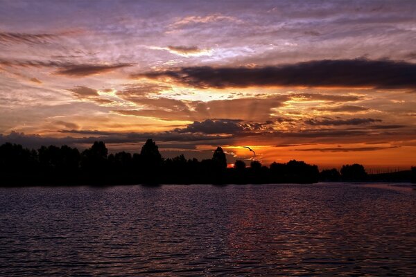 Coucher de soleil sur la surface plane du lac