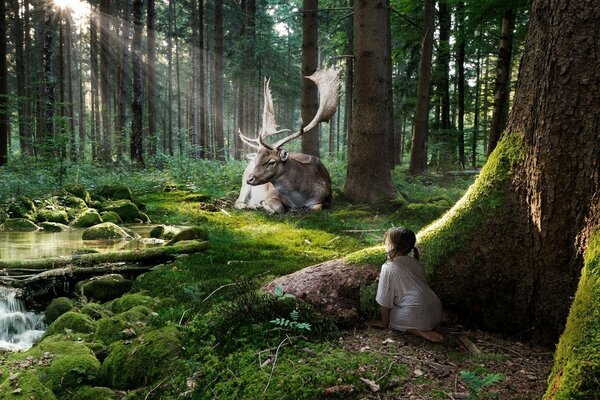 Mädchen im Wald beobachtet magische Tiere