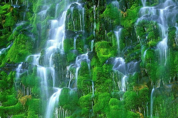 Beautiful waterfalls with green rocks