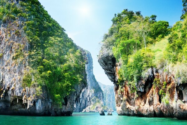 Rocks with varieties of trees and surrounded by the ocean