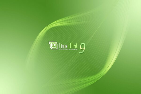 Linux fondo de pantalla verde divorcios luz