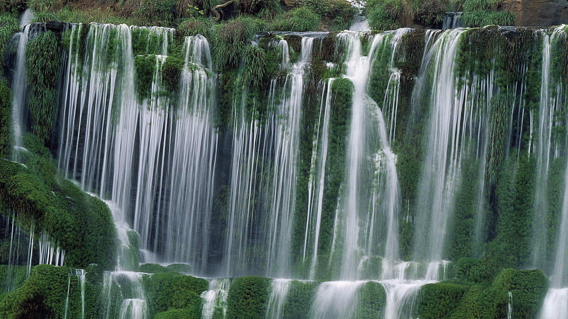 cascadas cascada agua naturaleza mojado río cascada hoja otoño corriente madera parque limpio al aire libre verano corriente limpieza viajes tropical splash