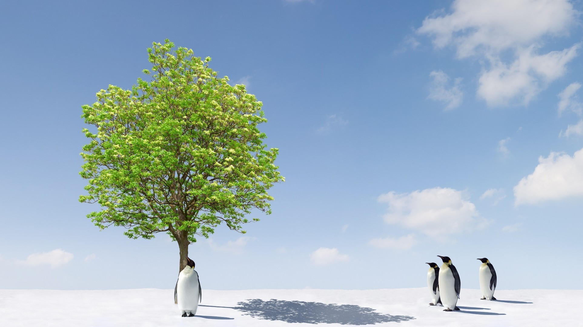 tiere schnee natur winter kälte im freien baum frostig eis himmel landschaft umwelt wasser gutes wetter