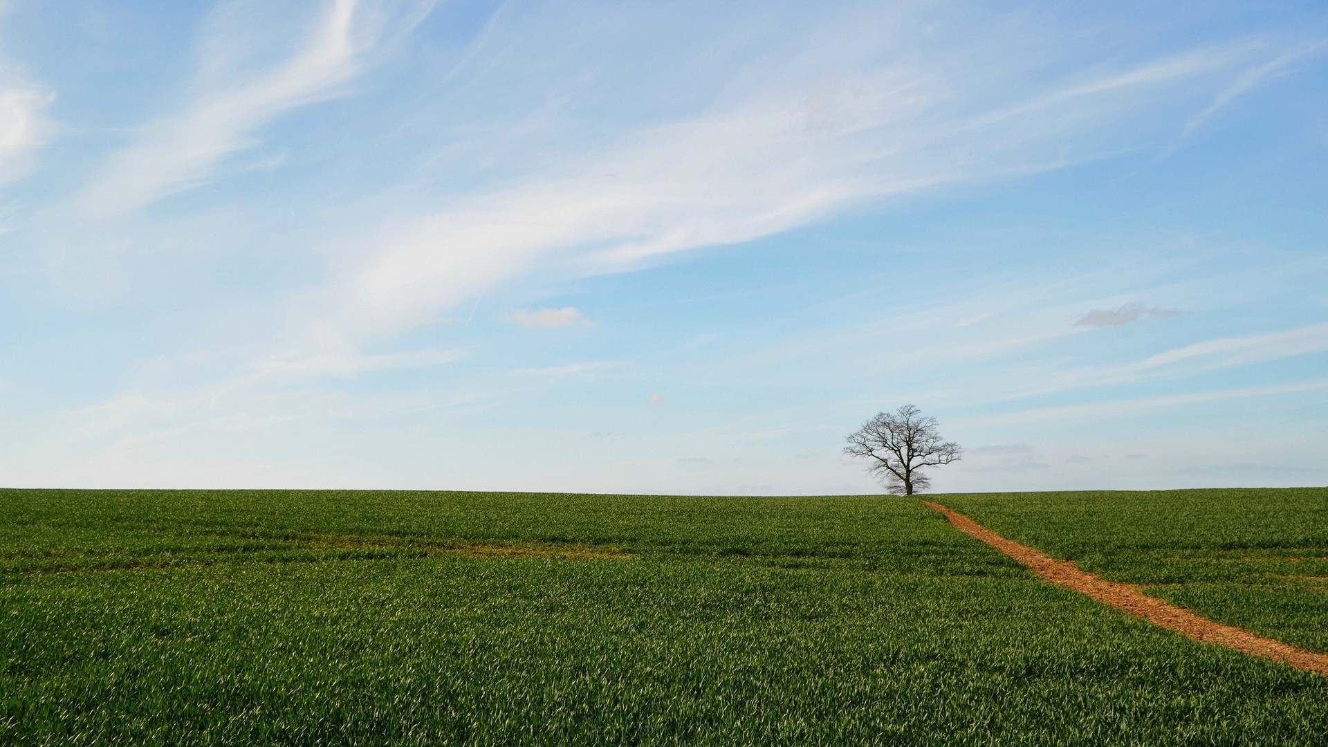 fields meadows and valleys field landscape agriculture farm nature rural grass countryside pasture sky soil summer horizon sun hayfield growth cropland outdoors tree