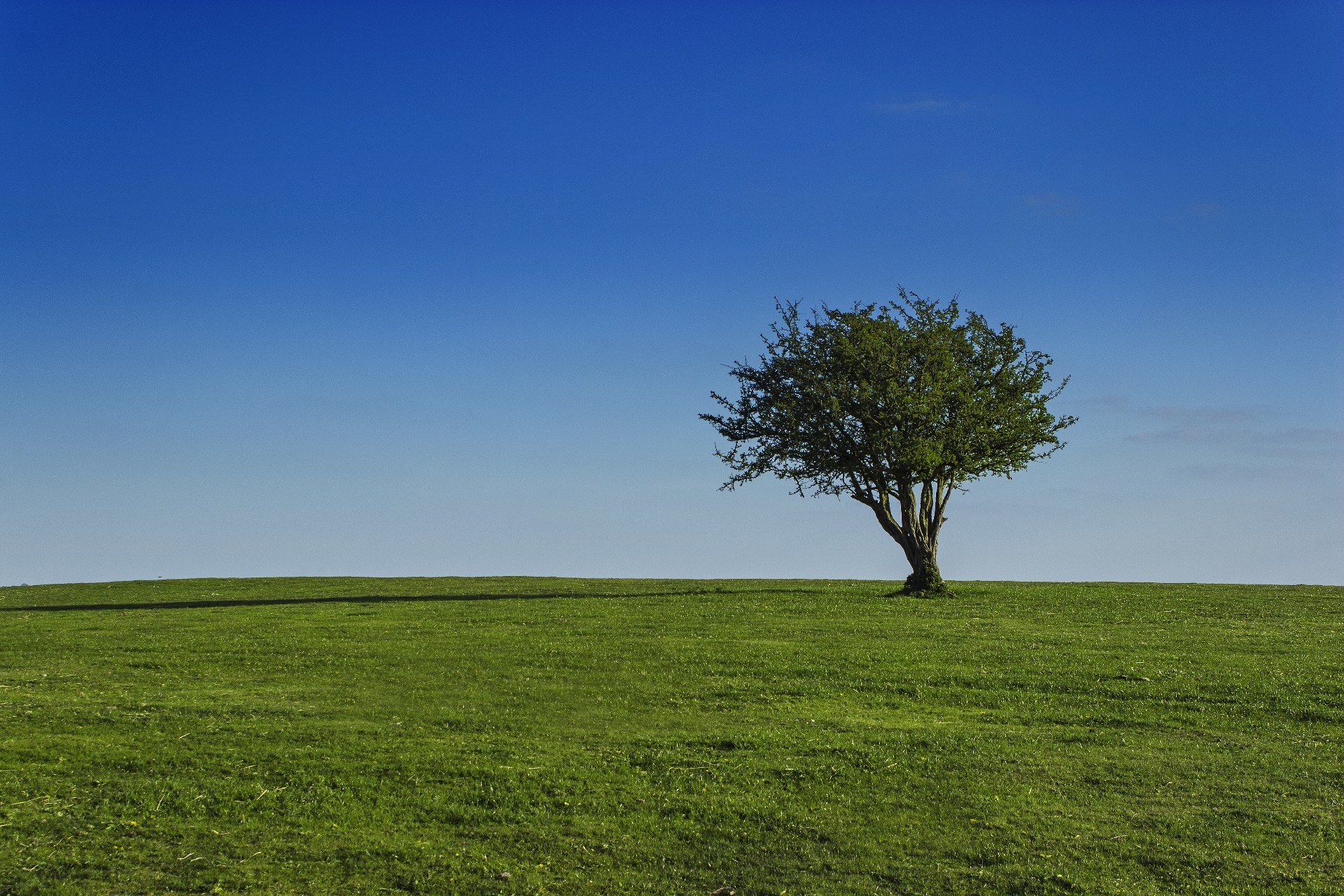 felder wiesen und täler landschaft gras natur baum himmel landschaft im freien des ländlichen feld ein sonne weiden dämmerung gutes wetter sommer