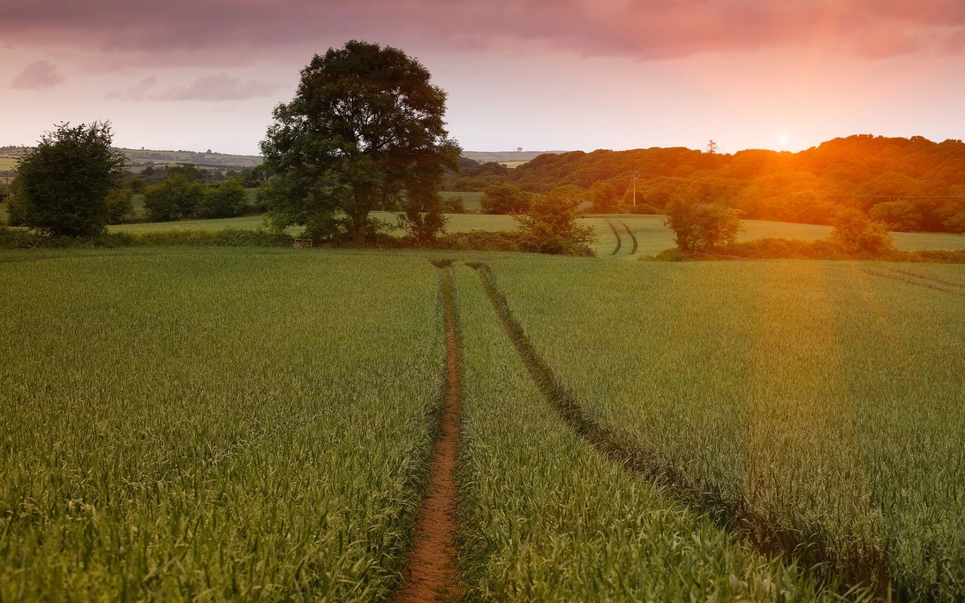 felder wiesen und täler landschaft feld sonnenuntergang dämmerung landwirtschaft des ländlichen raums landschaft bebautes land natur himmel bauernhof land weizen sonne im freien gras heuhaufen baum abend