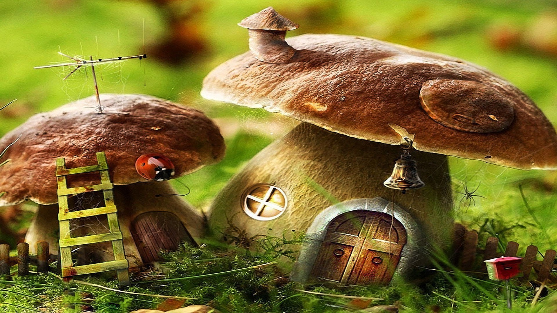 mushrooms nature mushroom food wood fungus grass desktop