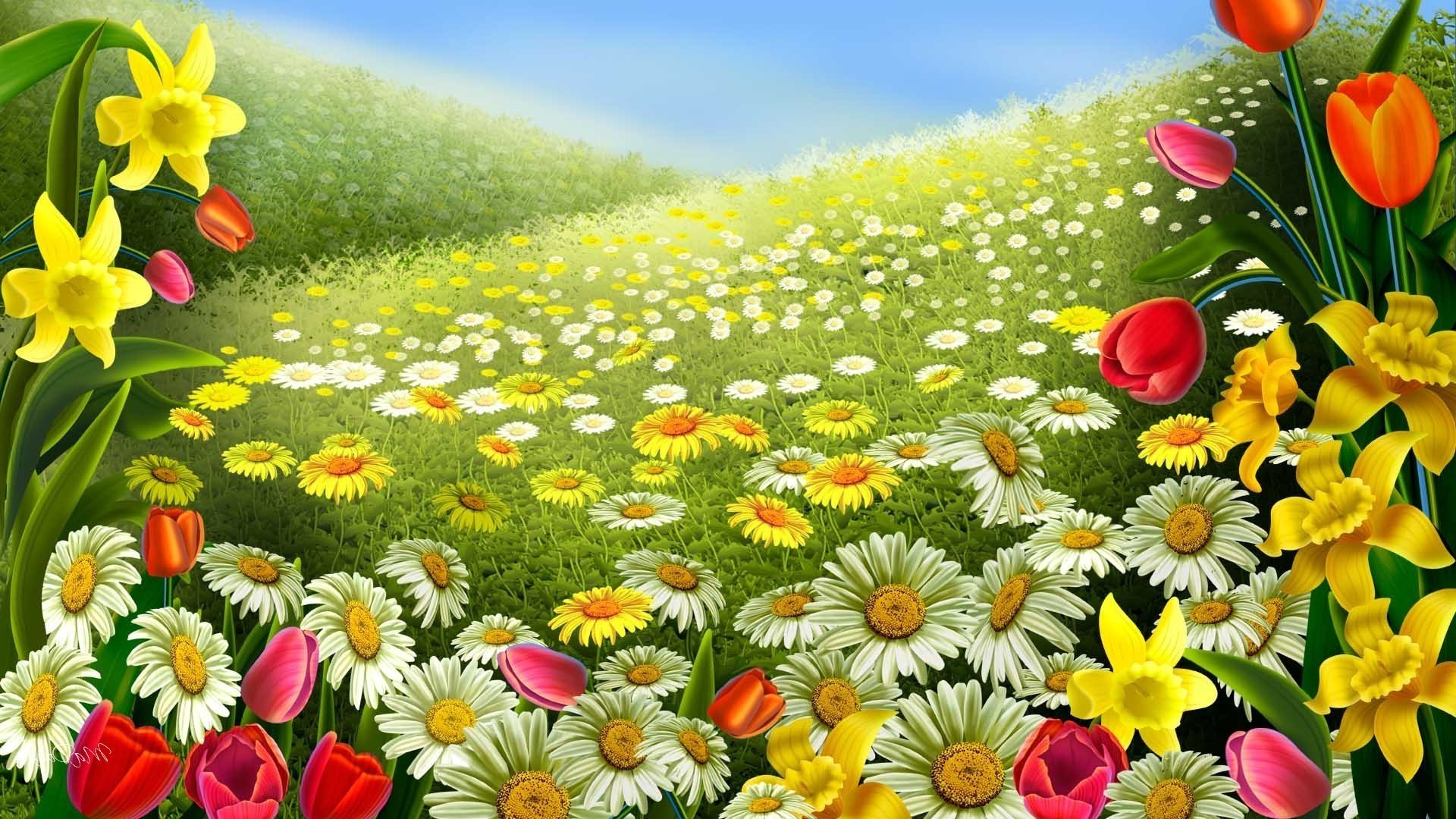 field of flowers flower nature summer floral field color grass bright flora season easter hayfield garden petal beautiful blooming leaf decoration desktop bouquet