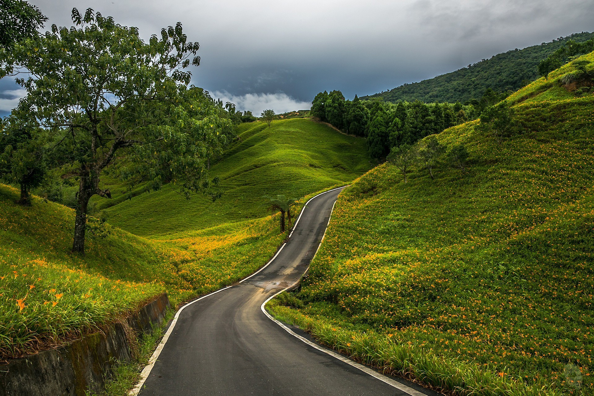 road landscape nature travel grass countryside rural outdoors tree guidance sky mountain hill summer scenic wood