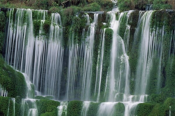 Cascada de cascadas en el verde