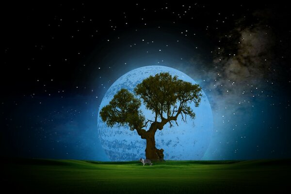 A lonely tree against the background of stars and the moon