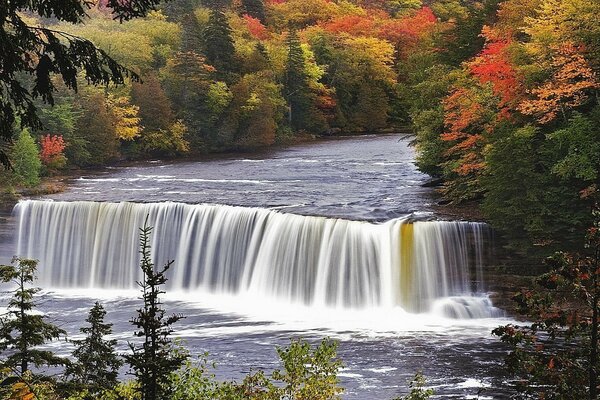 Cascada bosque naturaleza otoño