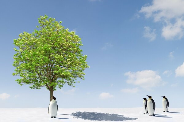 हरे पेड़ पर शाही पेंगुइन