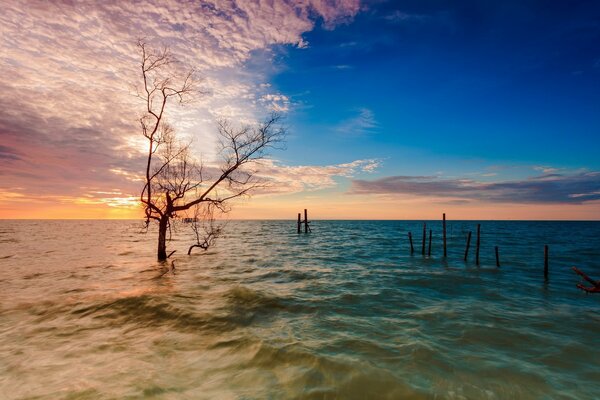 The tide at sea flooded the coastal strip