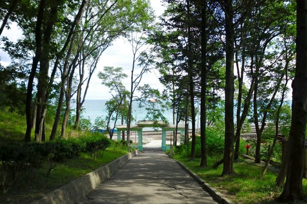 Parque con acceso al agua y pérgola