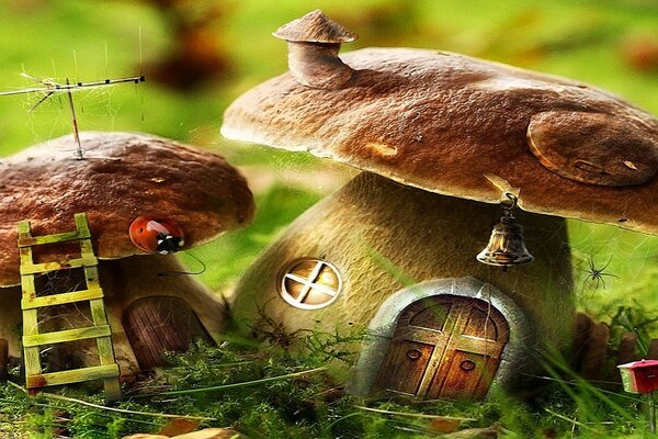 Maisons fabuleuses de champignons faites