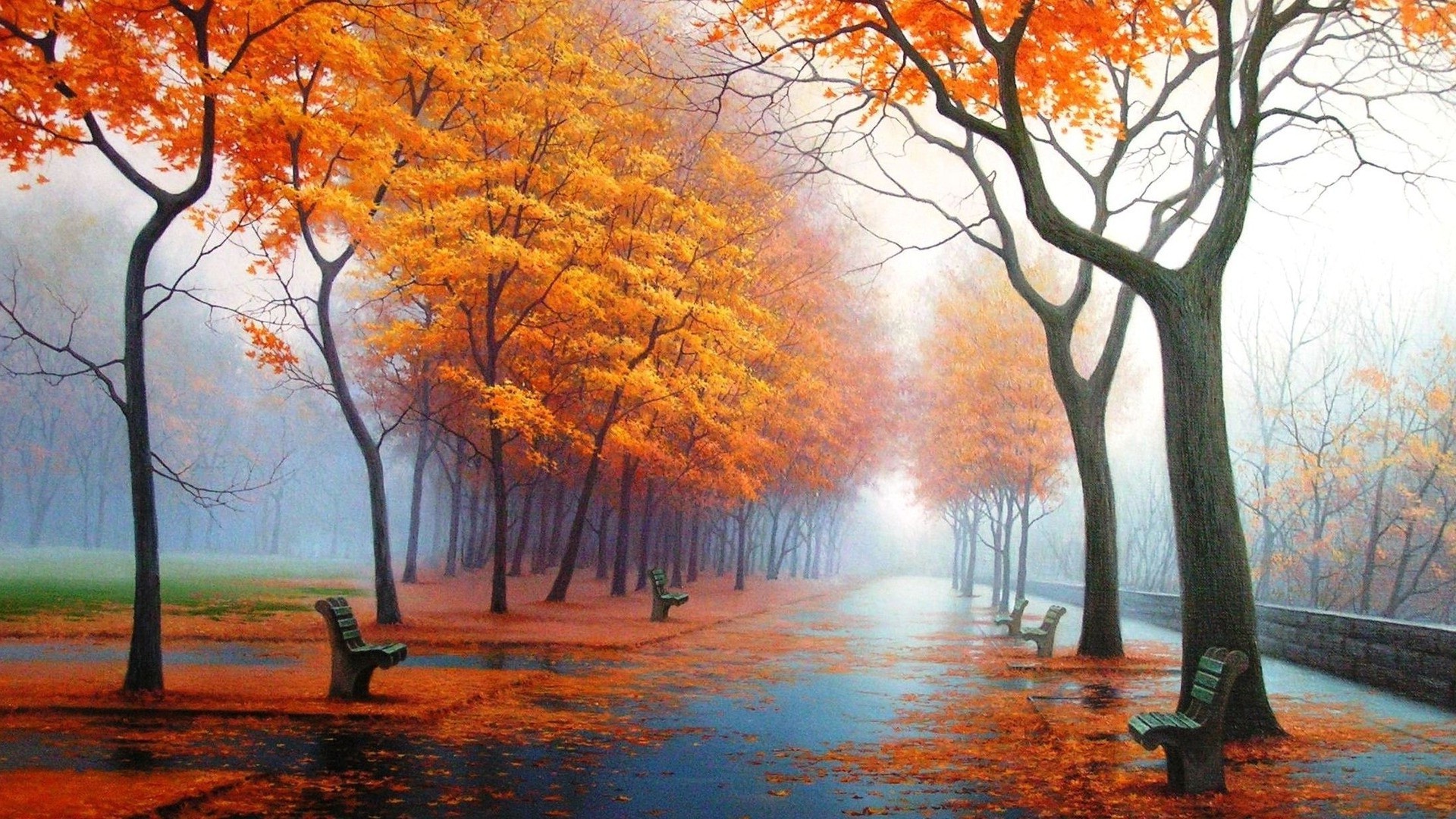 autunno autunno albero foglia stagione acero alba parco natura paesaggio nebbia nebbia ramo di legno oro scenic paesaggio colore all aperto sole