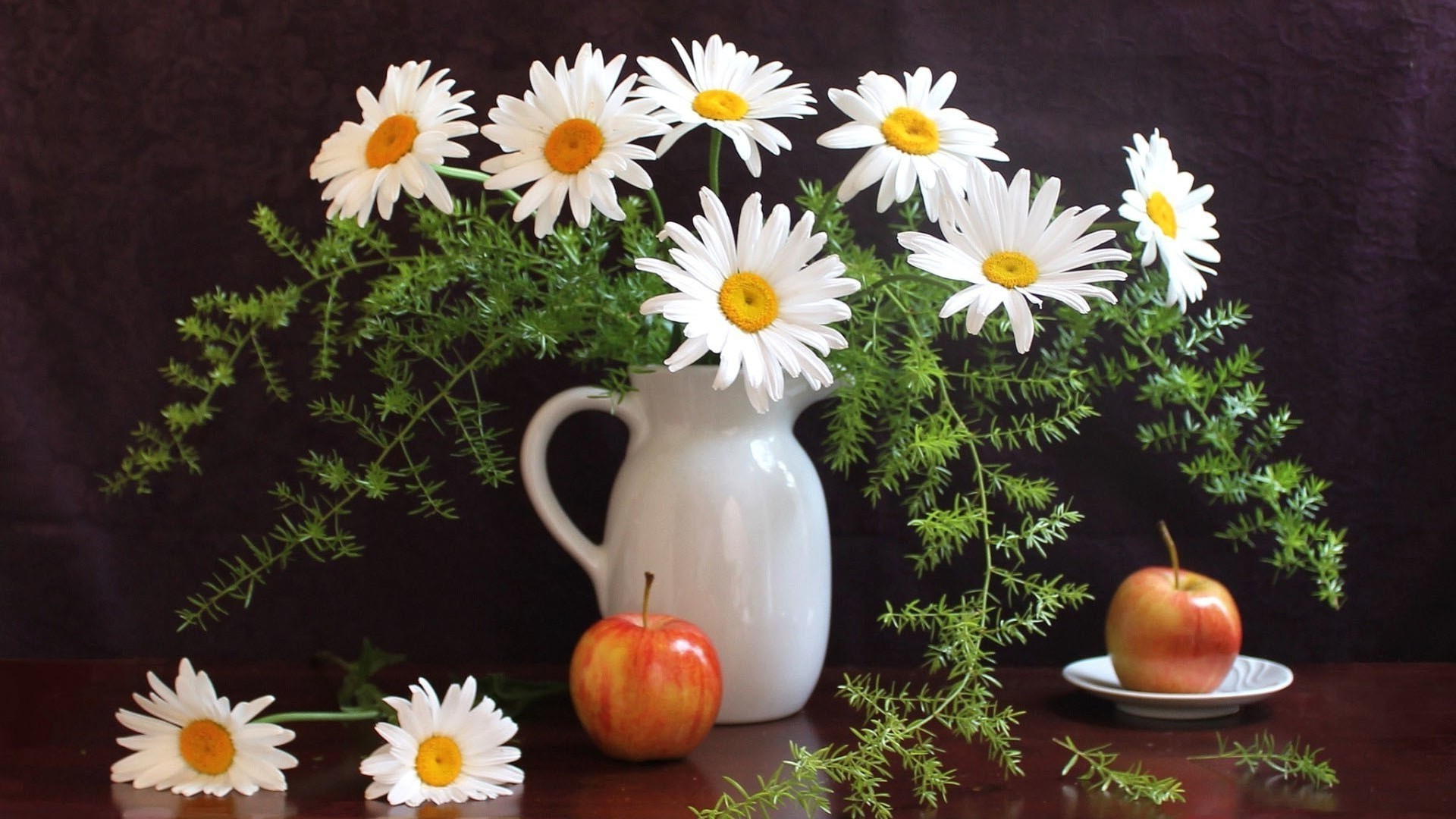 marguerites fleur nature feuille flore été de bureau