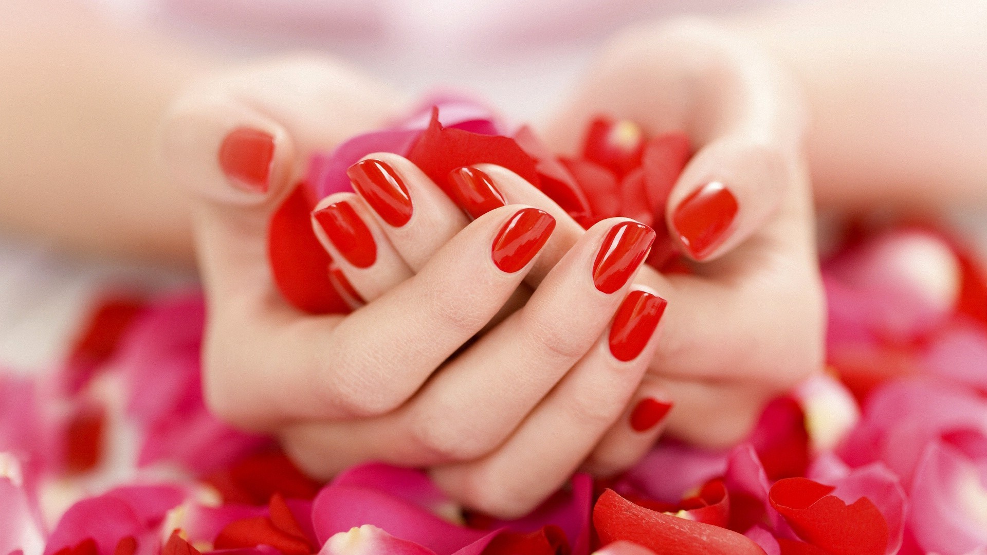 contrastes amor romance corazón salud romántico tratamiento boda día de san valentín pastelería flor hermoso cuidado