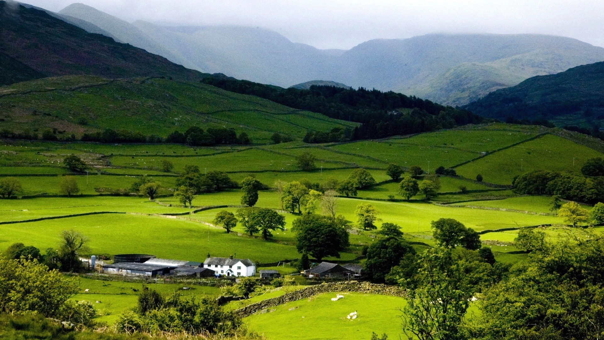 paisagens paisagem vale colina agricultura natureza montanhas terras cultivadas árvore cênica fazenda campo grama viagens feno ao ar livre campo verão casa pasto