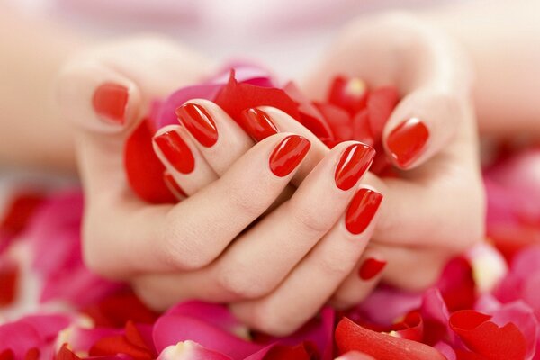 Red manicure and rose petals